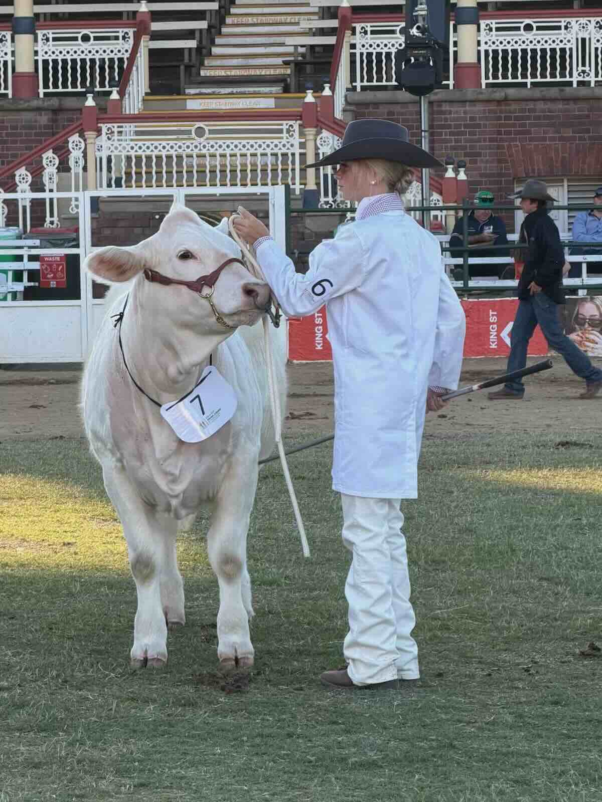 Alyssa Harris handling cattle during the 2026 Ekka National Cattle Parading Championships