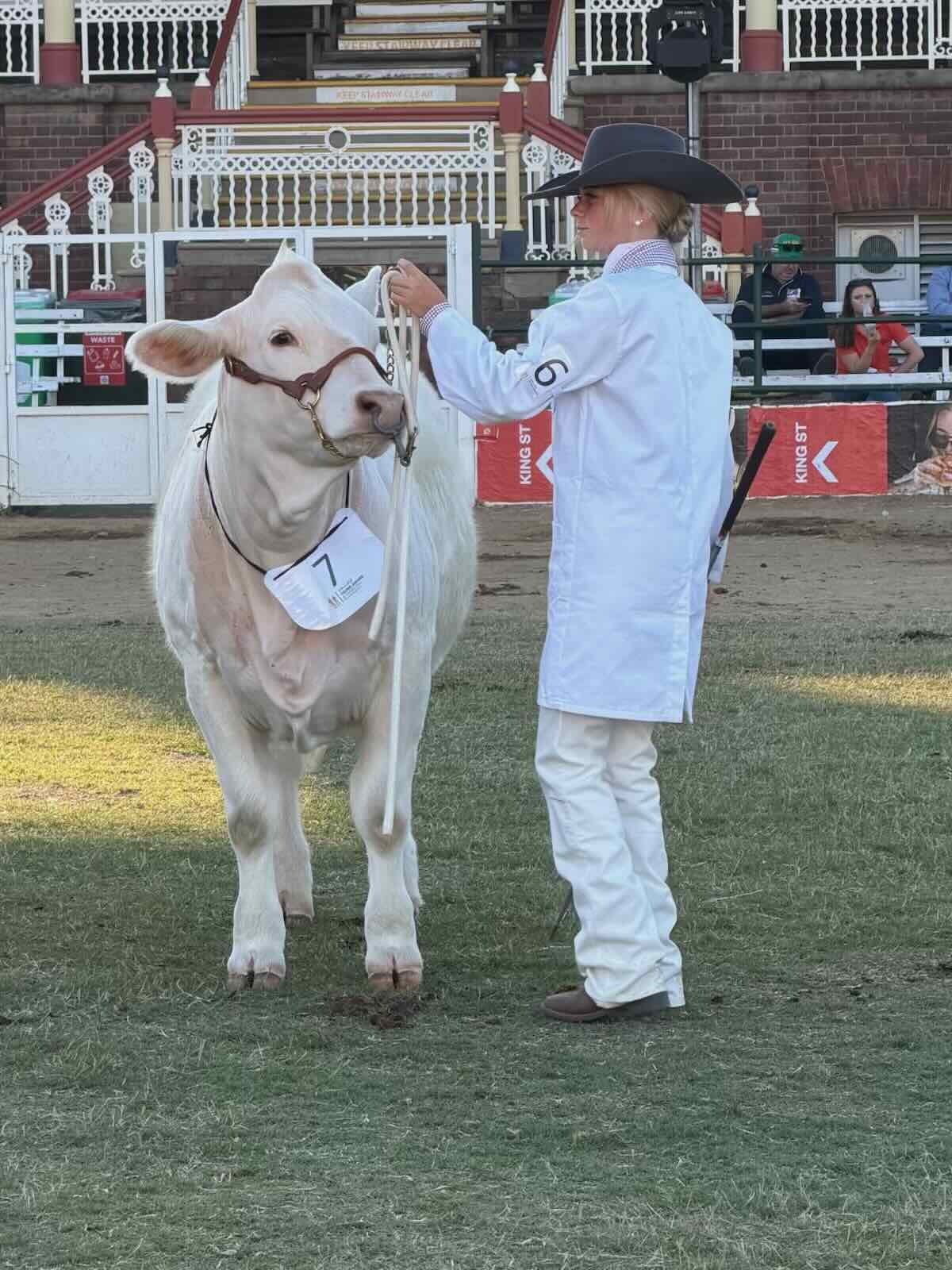 Alyssa Harris representing the Northern Territory in cattle parading at the 2026 Ekka