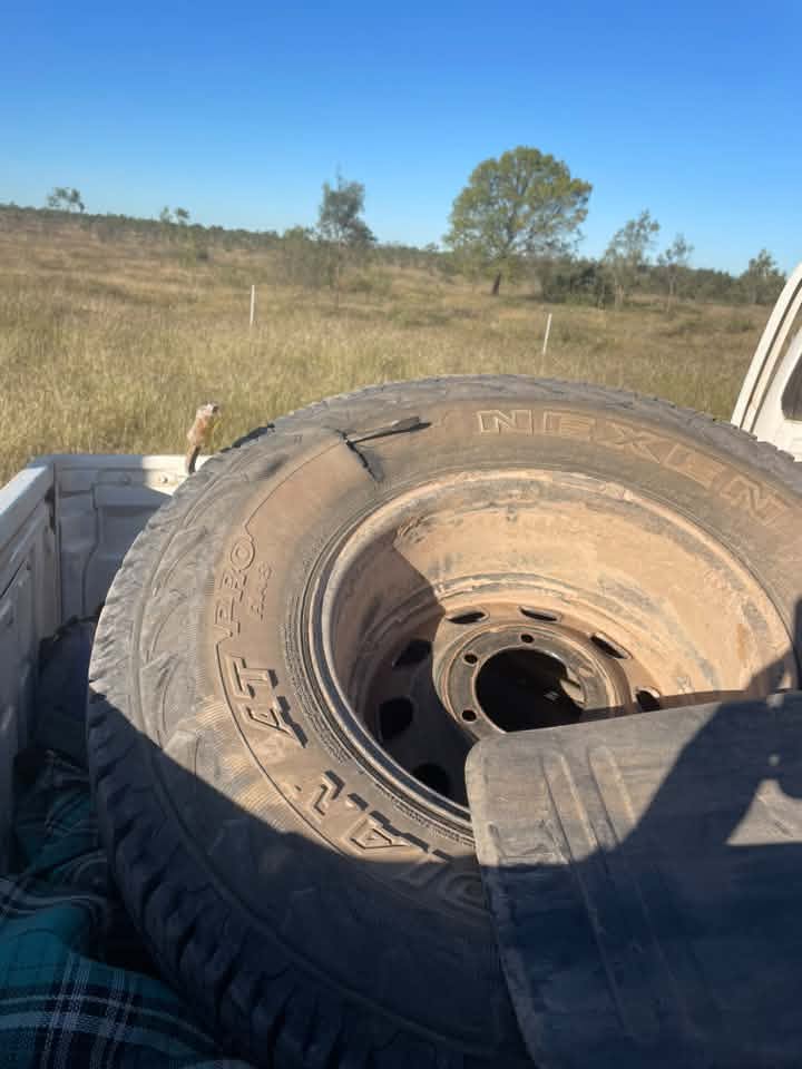 Metal object embedded in the sidewall of a truck tyre