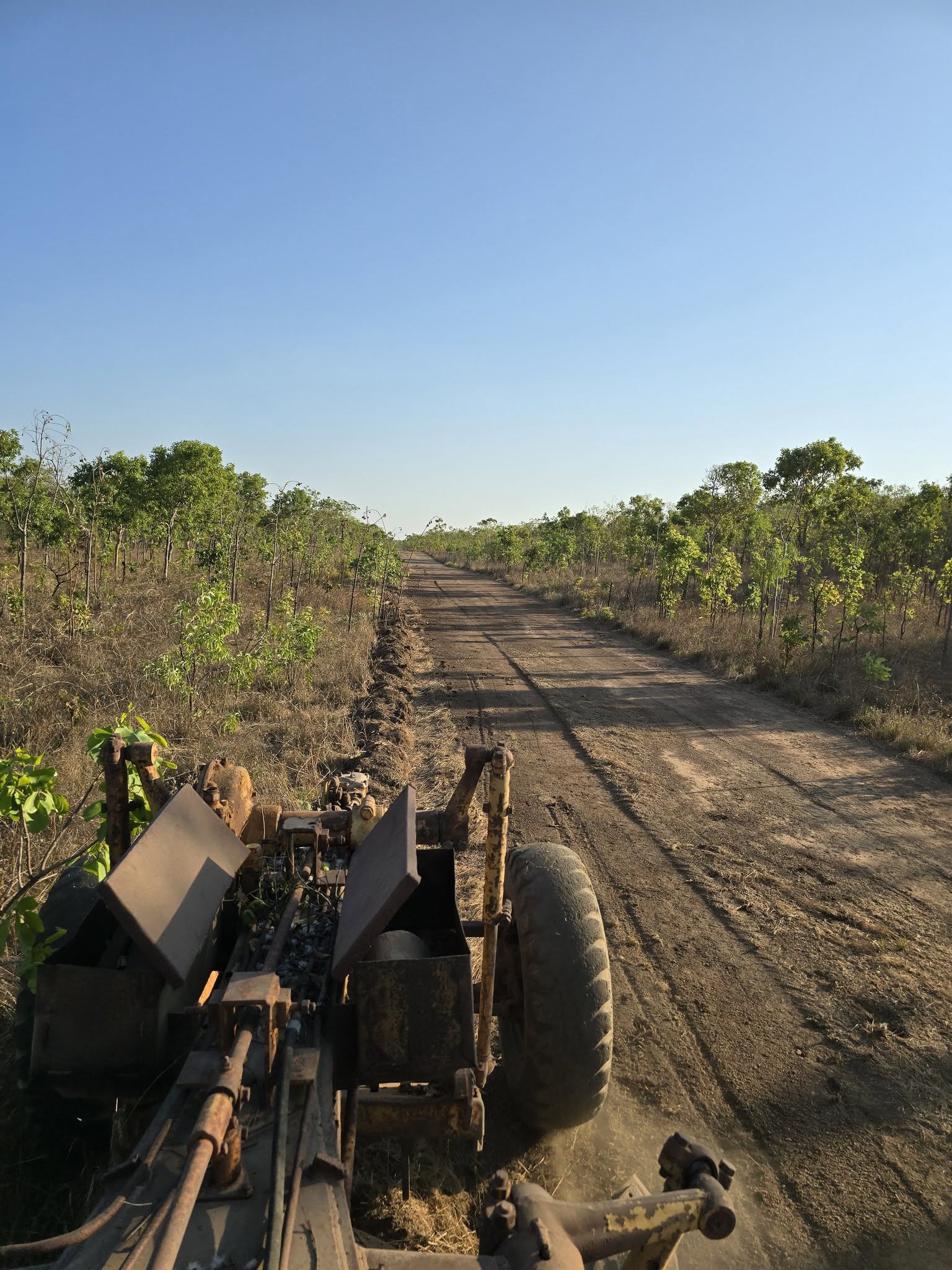 Damo Buck's Caterpillar 12E21F grader