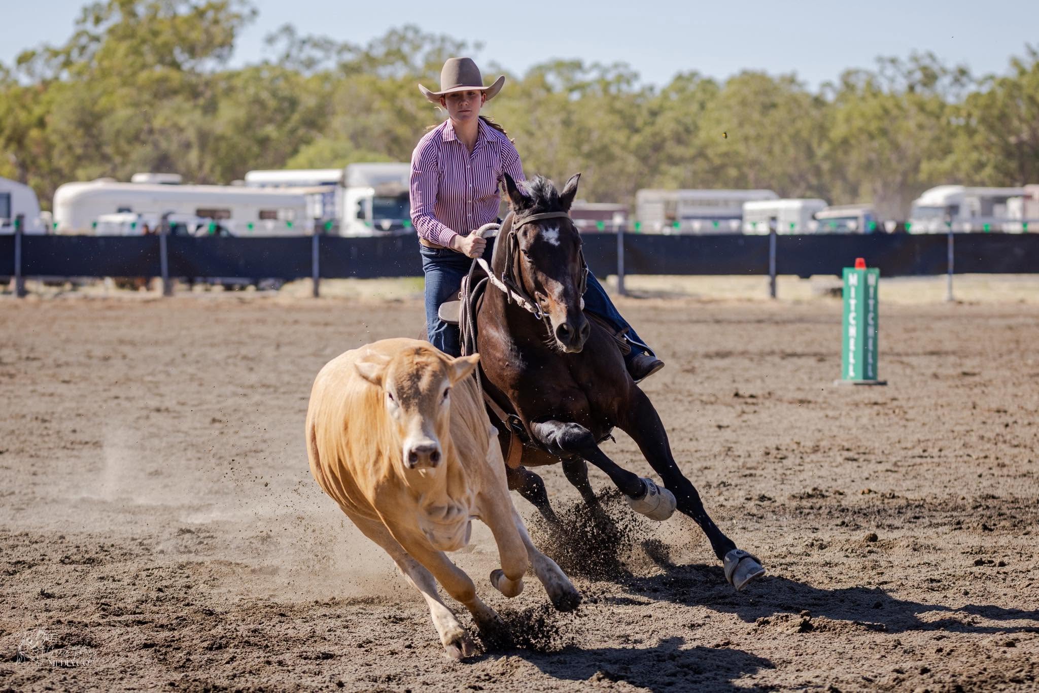 Emily Curr, founder of the High School Campdraft Percentile Cup
