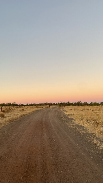 Remote road through cattle country near Borroloola in the Northern Territory