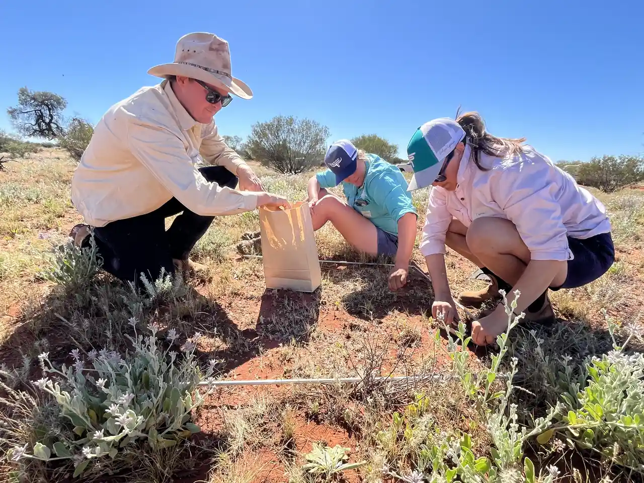 The Lyndavale Station team working together on the cattle property