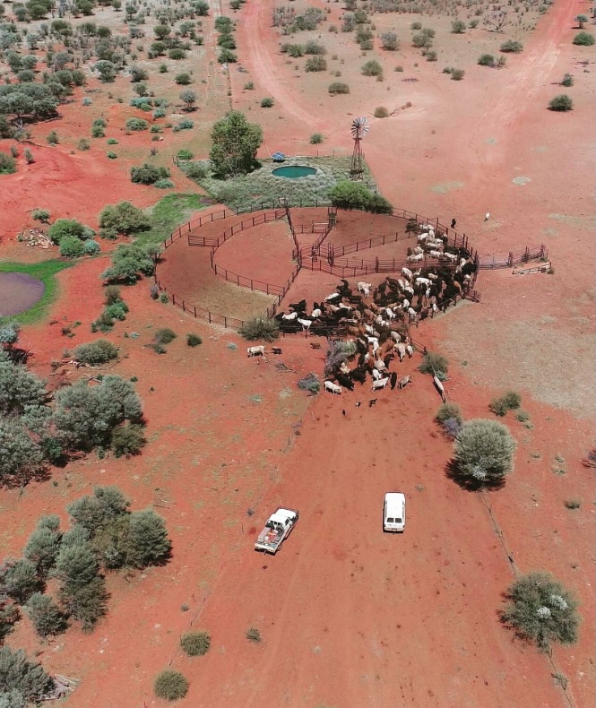 Aerial view of Lyndavale Station in Central Australia