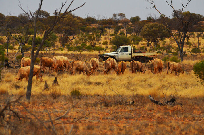 Ross Stanes with a station ute at Lyndavale Station south-west of Alice Springs