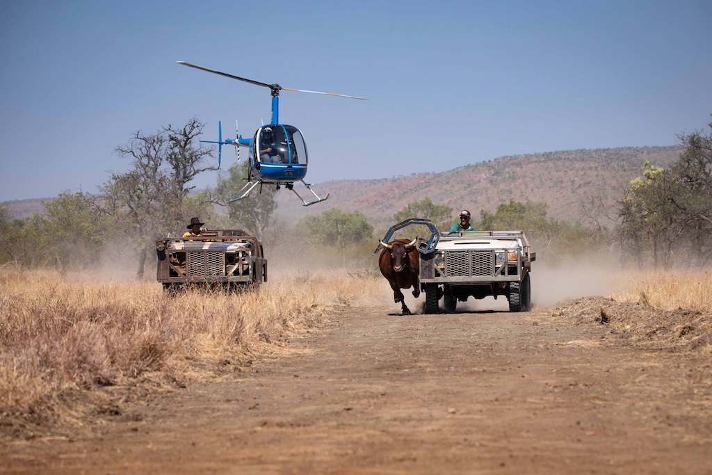 A person adding water to their vehicle