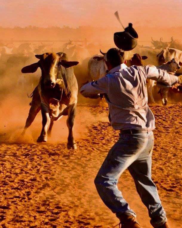 Edit caption for image 48